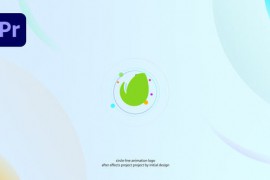 Logo Reveal Intro 49454655