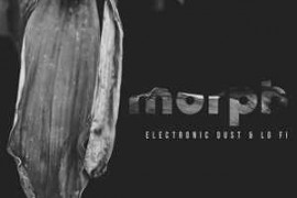Audiomodern Morph WAV-DISCOVER