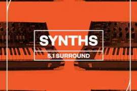 Blastwave FX Synths 5.1 Surround WAV