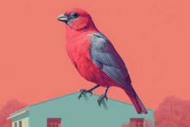 Sound FX Zone Mindful Birdsong FLAC-FANTASTiC