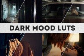 Dark Mood LUTs | FCPX & Apple Motion 51722621
