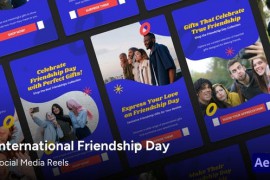 Social Media Reels - Friendship Day Quote After Effects Template 47146307