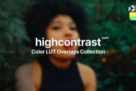 High Contrast Color Presets for Final Cut Pro Vol. 01 48175779