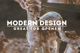 Modern Slideshow 14391877