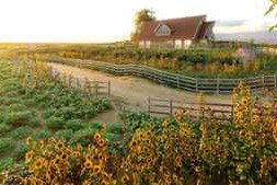 Globe Plants – Bundle 54 – Agricultural Plants