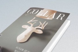 Book and Magazine Promo 21314752