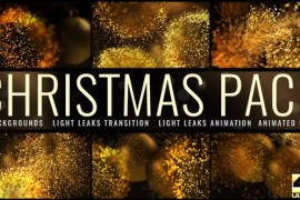 Christmas 22863181