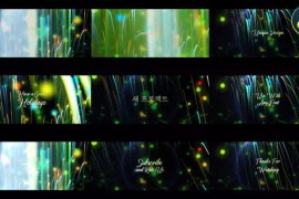 Christmas Wishes Titles for DaVinci Resolve 49460821