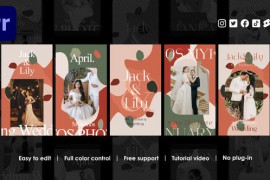 Marriage Instagram Stories 48542677