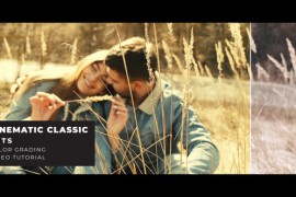 Cinematic Classic LUTs 43902686