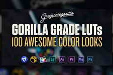 Greyscalegorilla – Gorilla Grade LUTs