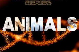 Symphonic Production Animals SFX Series WAV-FANTASTiC