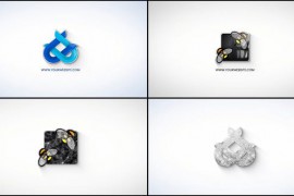 Simple logo Reveal 43573123