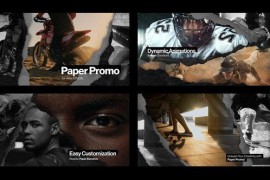 Torn Paper Promo & Transition 50143361