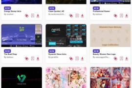 2024.5.1.38.Set.AE.Templates