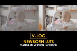 V-Log Newborn and Standard Color LUTs 51434620