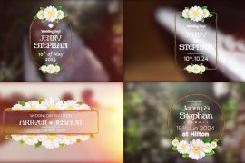Wedding title V.01 - Premiere Pro 51009612