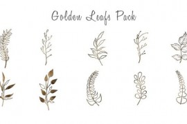 Gold Floral Elements 33562012