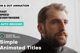 Simple Animated Titles | DaVinci Resolve 48097042