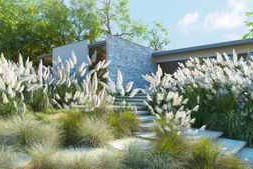 Maxtree – Plant Models Vol 139