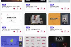 2024.1.11.37.Set.AE.Templates