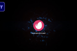 Plexarity Logo Reveal 50906800