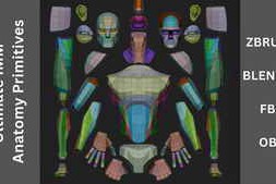 Ultimate IMM Anatomy Primitive by George Zaky