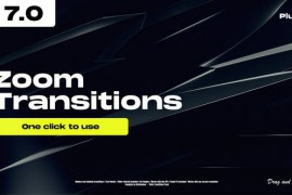 Zoom Transitions 7.0 48660966
