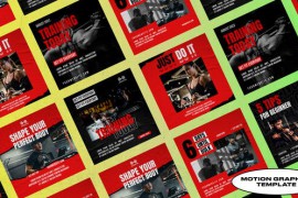 Derry Urban Gym Posts | Mogrt 50012790