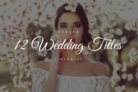 Wedding Titles 22070117