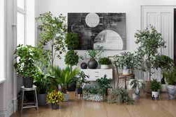 Evermotion – Archmodels vol. 280 – Indoor Plants