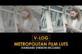 V-Log Metropolitan and Standard Color LUTs 51378277