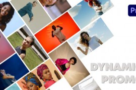 Dynamic Promo 46050346