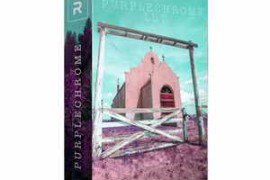 The RunNGun – Purplechrome LUT