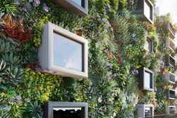 Globe Plants – Bundle 47 – Vertical Garden
