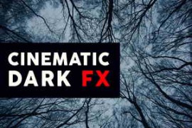Function Loops Cinematic Dark FX WAV-DISCOVER