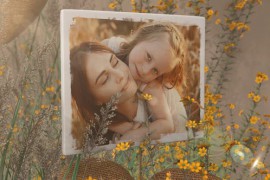 Nature Slideshow 49179833