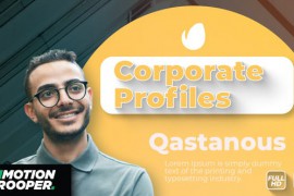 Rounded Corporate Profile 50822925