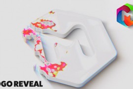 Clean Logo Animation 52081254