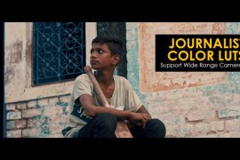 Journalist Color LUTs 48381446