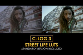 C-Log3 Street Life and Standard Color LUTs 51303092