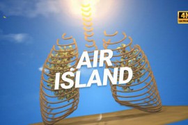 Air Island 29796566