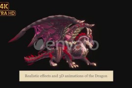 Complete Dragon Package : Chinese Dragon 50863845