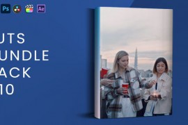 LUTs Bundle Pack V10 42933762