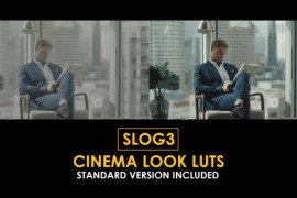 Slog3 Cinema Look and Standard Color LUTs 50930983