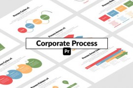 Corporate Process for Premiere Pro 51656714