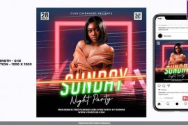Night Club Flyer v5 For Premiere Pro 49313695