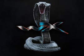 Cobra Fire Logo 4K 29253098