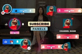 Subscribe Panels 42463039