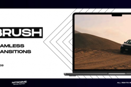 Brush Transitions Vol. 03 48825972